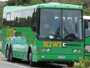 Organisierte Individualreise mit Backpackerbussen