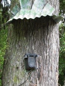 So telefoniert man auf Stewart Island …